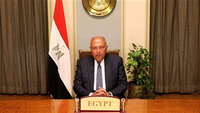 شكري: مصر أول دولة عربية تقيم علاقات دبلوماسية مع الصين
