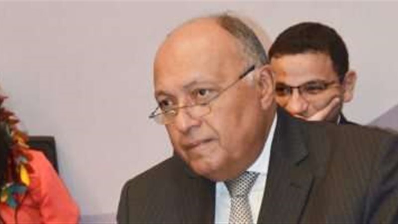 سامح شكري وزير الخارجية