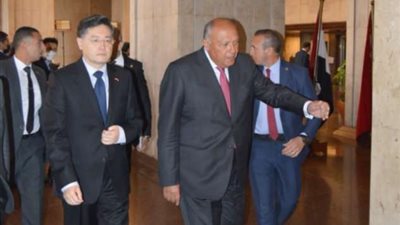 ماذا بحث شكري ونظيره الصيني بملف سد النهضة؟