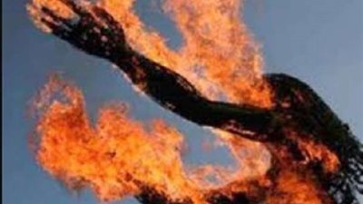 الأجهزة الأمنية تكشف ملابسات مقتل فتاة بالزراعات في الشرقية