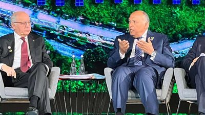 وزير الخارجية في جلسة حوارية بأسبوع أبو ظبي للاستدامة