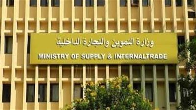 مواد غذائية مجهولة المصدر.. تفاصيل حملة تموينية بالدقهلية