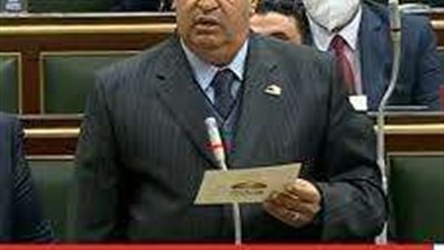 برلماني: سعر كيلو الدواجن تخطى السعر المعروض خلال التربية