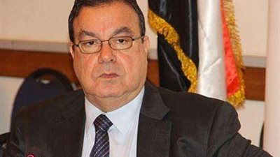 أهمية الإفراجات الأخيرة عن البضائع وانعكاساتها على الصناعة.. فيديو