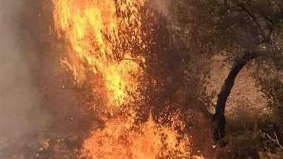 حريق ضخم يضرب سوريا وسط خسائر بشرية