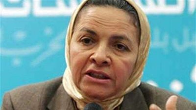 أستاذة اقتصاد: مصر تمتلك فرصا واعدة في الاستثمار والتصدير.. وقادرة على تخطي الأزمة الحالية.. فيديو