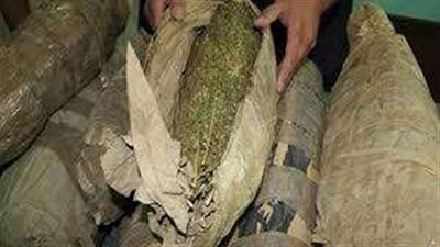 ضبط عاطل بحوزته كمية كبيرة من مخدر البانجو بعين شمس