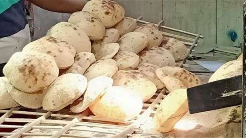 سعر رغيف العيش في