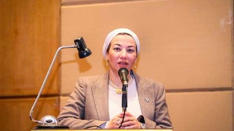 ياسمين فؤاد وزيرة