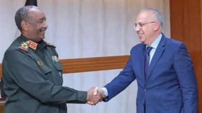 وزير الري: مصر  تهتم بتنفيذ مشروعات إستراتيجية مع السودان