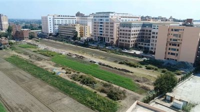 التعليم العالي: الكشف على 294397 مريضًا بالعيادة الخارجية