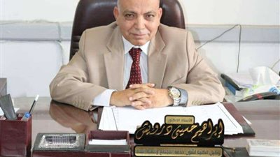 درويش: التوسع في زراعة القطن سيحل أزمة الزيت وينعش صناعة الغزل والنسيج