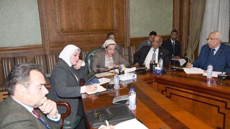 ياسمين فؤاد وزيرة