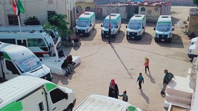 صحة الإسماعيلية توقع الكشف بالمجان علي 1300 حالة في قافلة طبية بقرية وادى الملاك