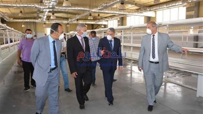 117 ألف طلب للتصالح في مخالفات البناء بالمنيا