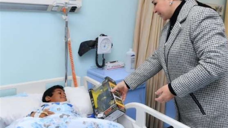 انتصار السيسى