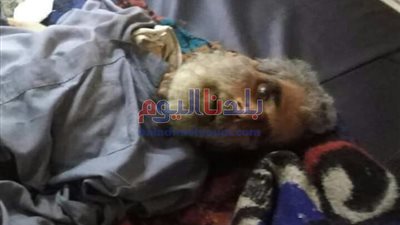 إنقاذ مسن مصاب بكورونا ملقى بشوراع طنطا