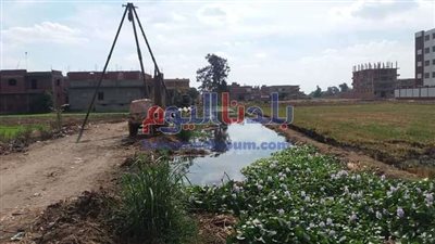 غرق 200 فدان من الأراضي الزراعية بمياه مصرف طنبارة بالمحلة (صور)