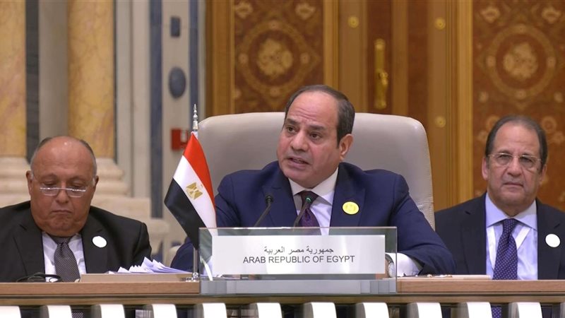 الرئيس عبد الفتاح