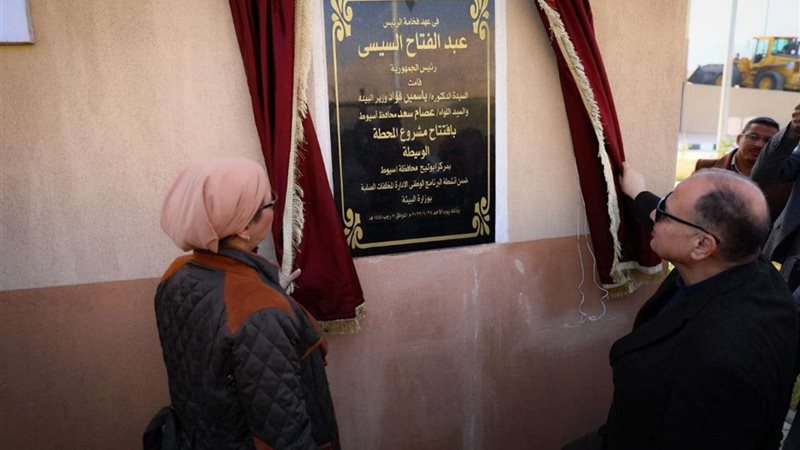 ياسمين فؤاد وزيرة