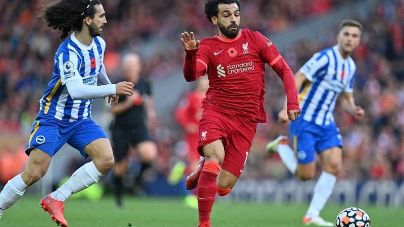 ليفربول وبرايتون