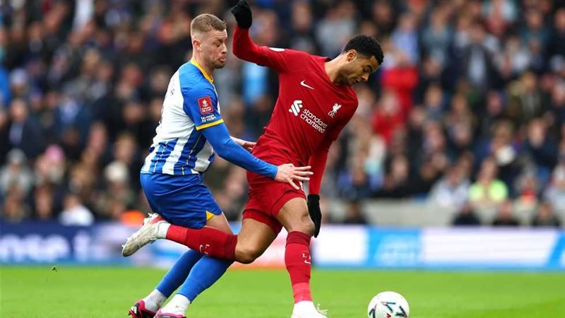 مباراة برايتون وليفربول