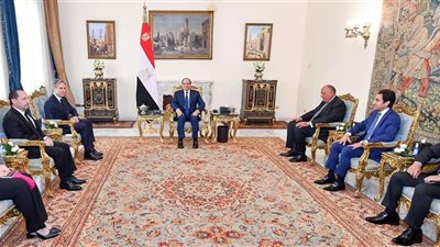 الرئيس السيسي يؤكد موقف مصر الثابت تجاه سد النهضة