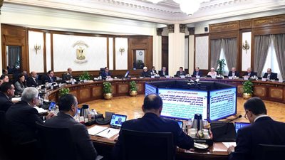 مدبولي يبحث مع وزيرة التعاون الدولي ملفات العمل