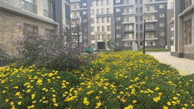 وزير الإسكان يتابع ما يتم تنفيذه من مشروعات بمدينة القاهرة الجديدة