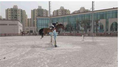 بمشاركة 158 فارسا.. الداخلية تنتهي من بطولة الجمهورية لقفز الحواجز