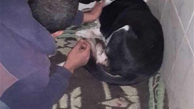 عقوبات مشددة لـ ثلاثة مزارعين: 