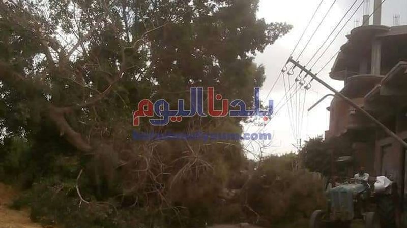 بلدنا اليوم