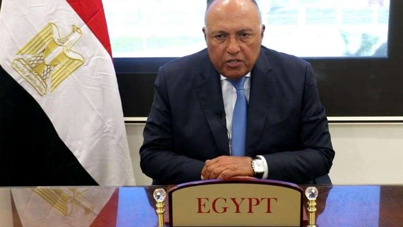 سامح شكري وزير الخارجية