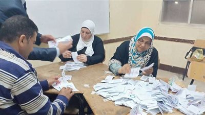 انتخابات مجلس النواب.. بدء فرز أصوات الناخبين فى 14 محافظة