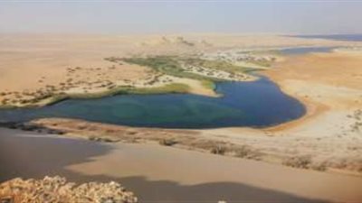 إنشاء أول طريق أخضر بطول 34 كم في منطقة وادى الحيتان بالفيوم