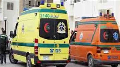 إصابة 4 أشخاص في حادثين بمركزى وادى النطرون وأبو حمص بالبحيرة