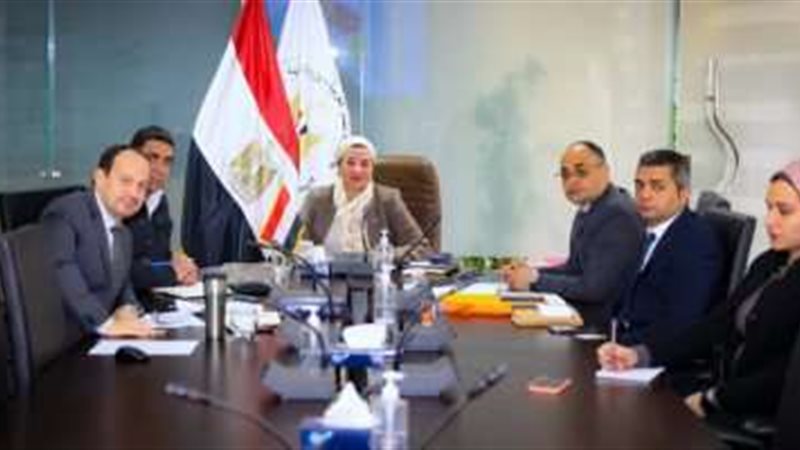ياسمين فؤاد وزيرة