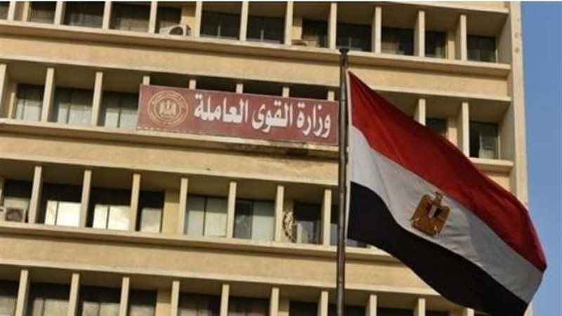 القوى العاملة