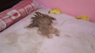 إيداع الشقيق الأكبر لطفل طوخ إلى حضانة جدته