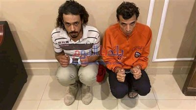 الجنايات القاهرة تصدر قرارها ضد المتهمين فى قضية فتاة المعادي