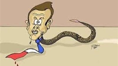 بعد السخرية من ماكرون.. منظمة فرنسية تفصل رسام كاريكاتير موريتاني