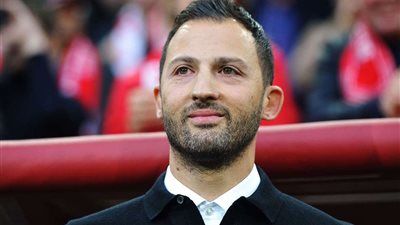 تعرف على إنجازات تيديسكو مدرب منتخب بلجيكا الجديد