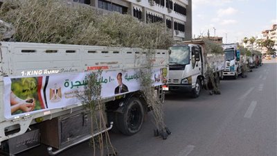 محافظ الإسماعيلية يشهد استلام 200 ألف شتلة شجرة