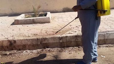 صحة الشرقية :توجه بتكثيف مكافحة الذباب وناقلات الأمراض بالمحافظة