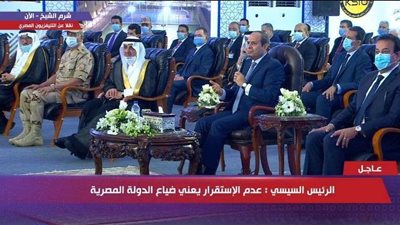 السيسي: عدم الاستقرار يكلف الدول ومستقبلها الكثير