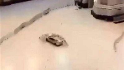 تفاصيل جديدة بشأن اقتحام سيارة مسرعة للحرم المكي (فيديو)