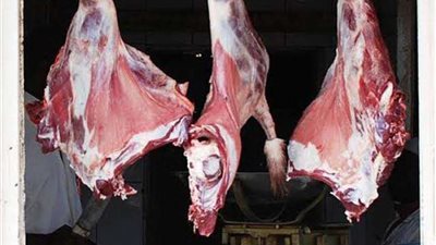 انخفاض أسعار اللحوم و الدواجن .. عميد زراعة عين شمس يعلن الموعد.. فيديو