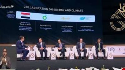 لووني: شركة بي بي  تحتفل بوجودها في مصر منذ 60 عاما