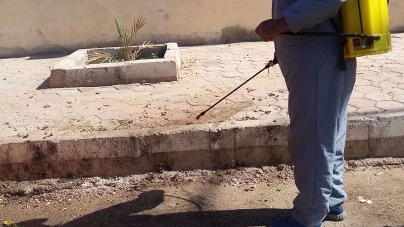صحة الشرقية