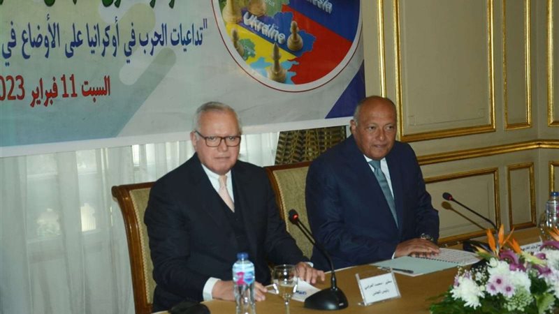 سامح شكري وزير الخارجية